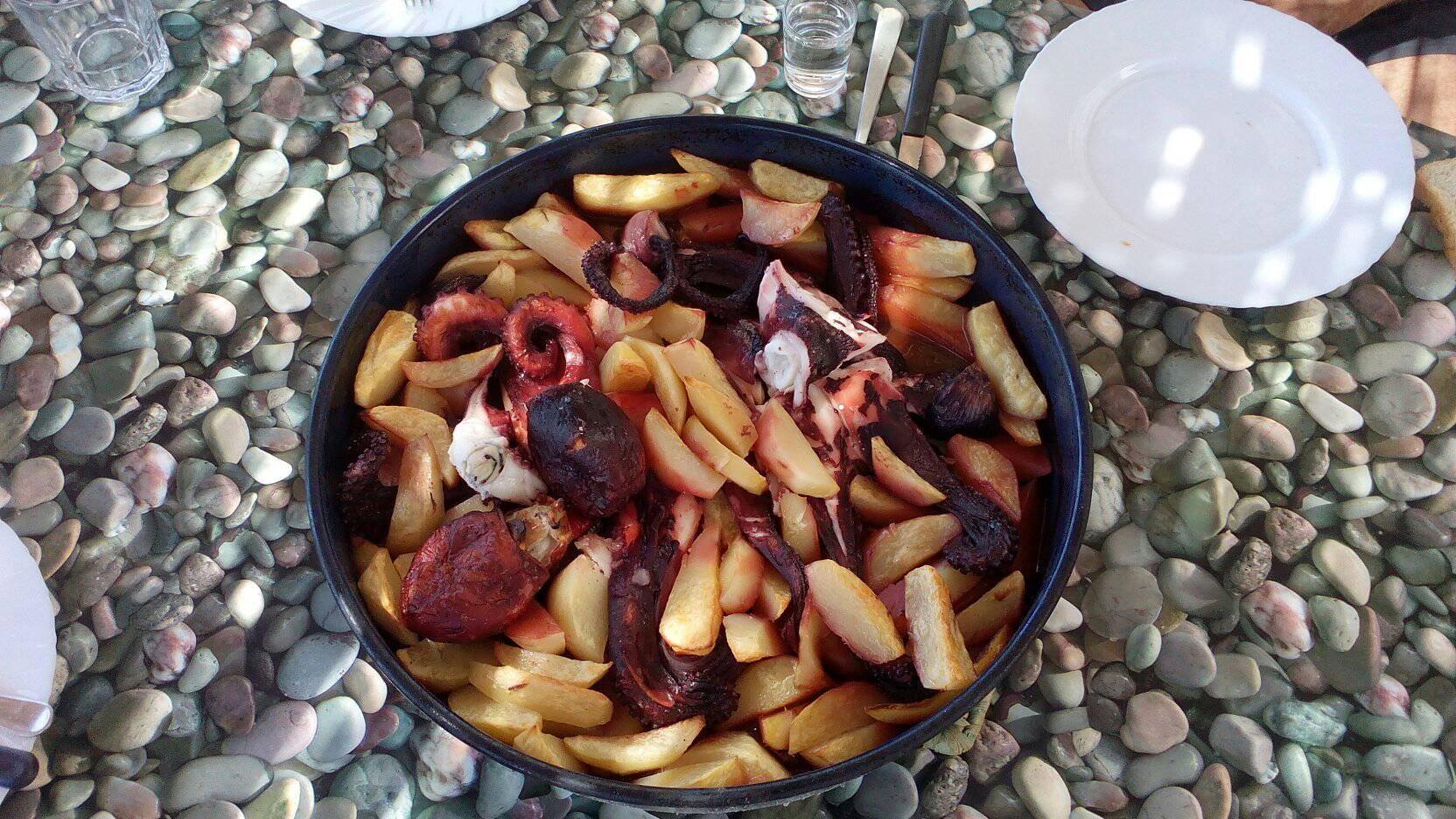 Octopus peka · Dalmatian classic